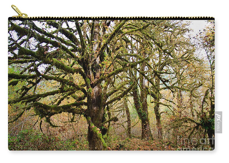 Rain Forest Zip Pouch featuring the photograph In the rain forest by Olivier Steiner