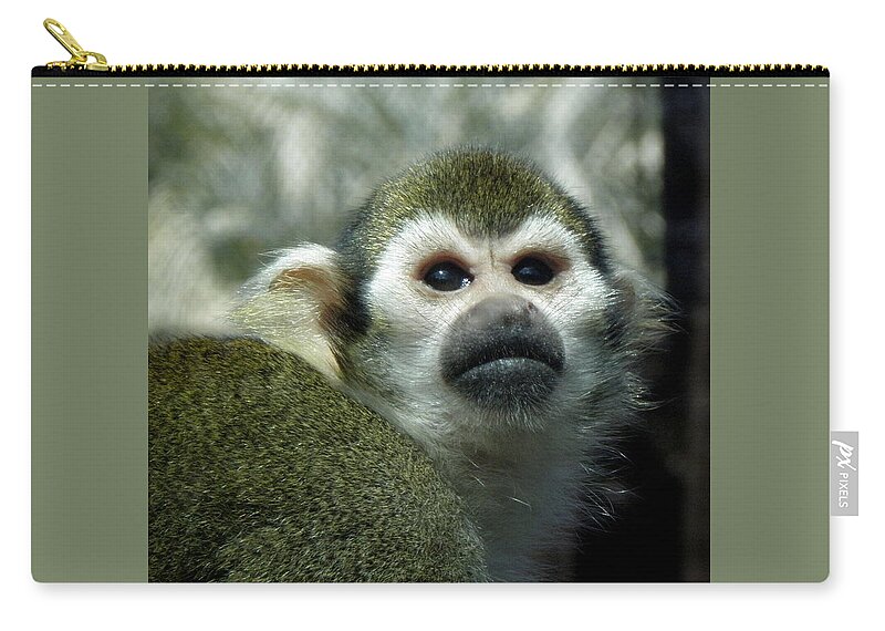 Monkey Zip Pouch featuring the photograph In Thought by Kim Galluzzo Wozniak