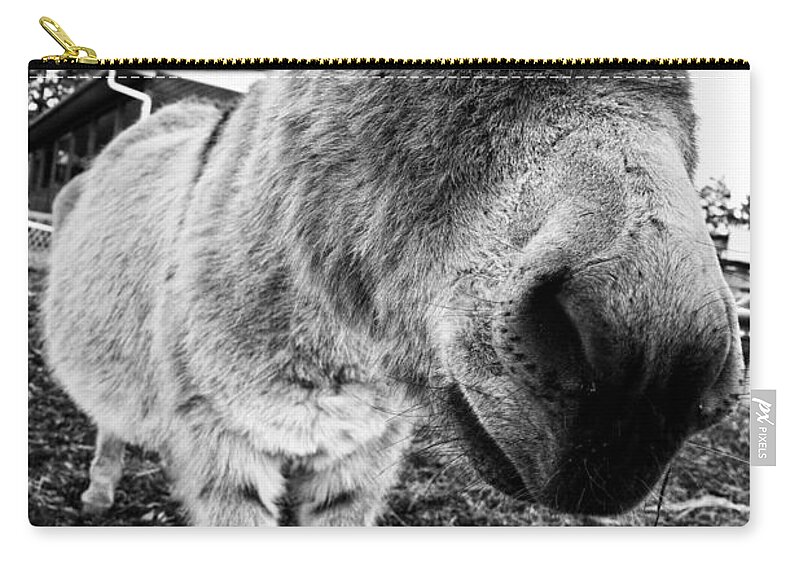 Donkey Zip Pouch featuring the photograph In Your Face by Monte Arnold