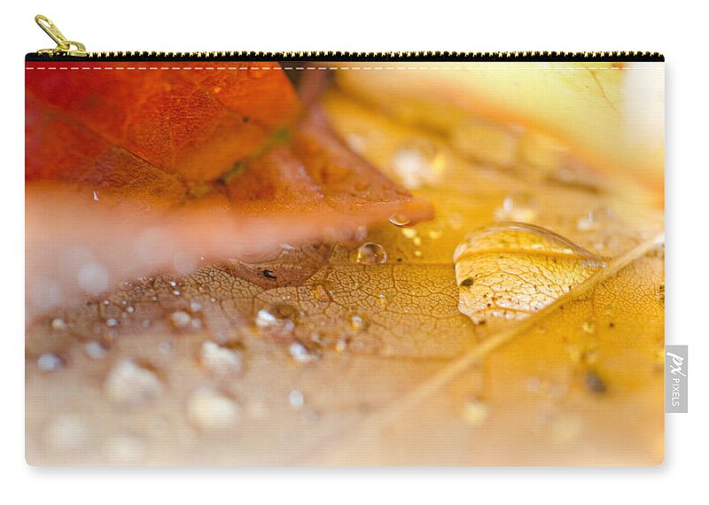Autumn Zip Pouch featuring the photograph Intimate Leaf Study by Margaret Pitcher