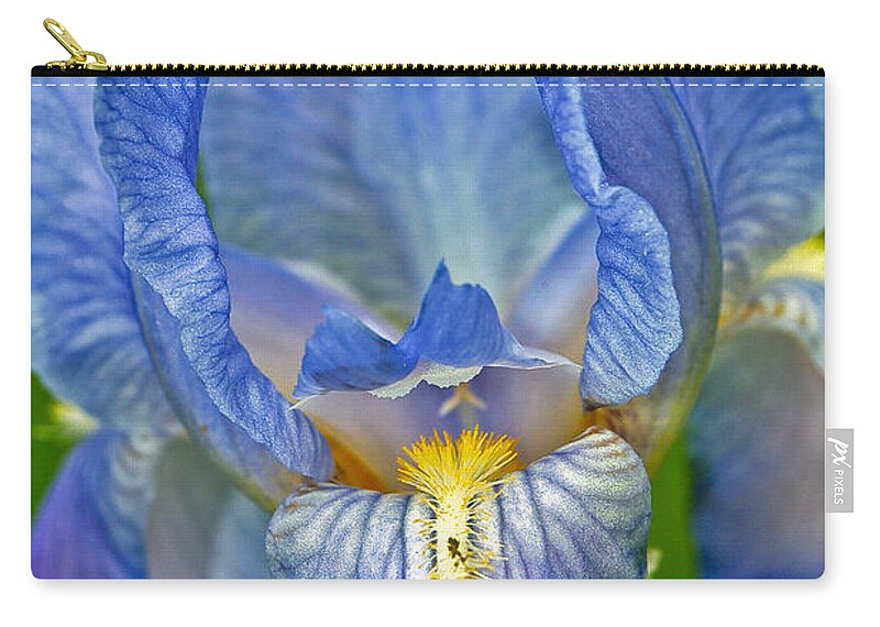 Iris Zip Pouch featuring the photograph Iris by Larry Carr