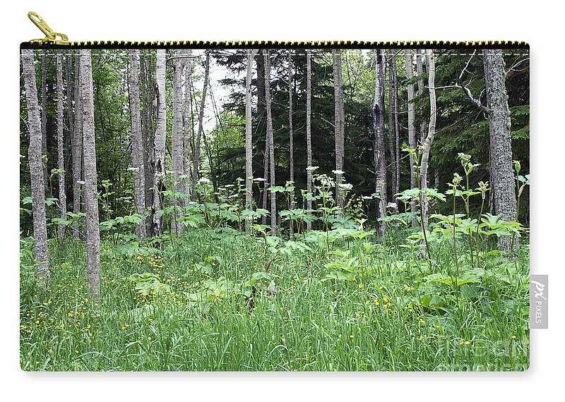 Lake Superior Zip Pouch featuring the photograph Isle Royale National Park by Ted Kinsman