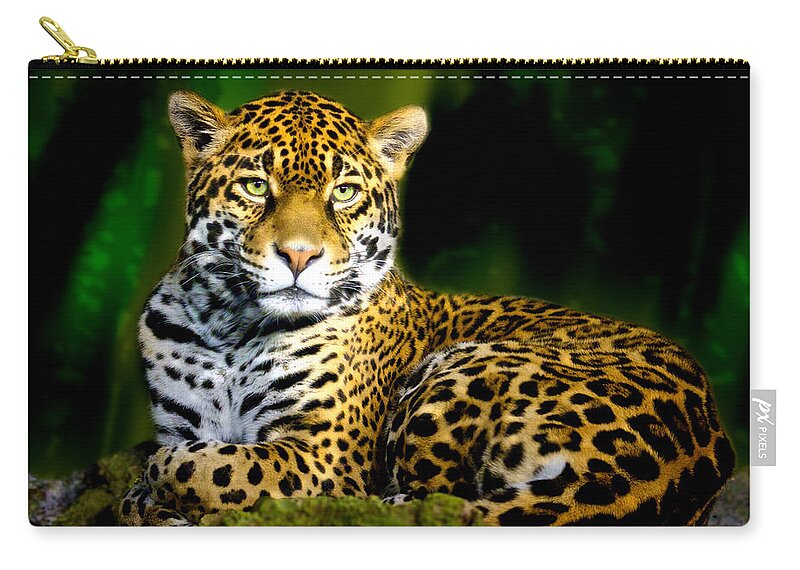 Animal Zip Pouch featuring the photograph Jaguar by Jarrod Erbe