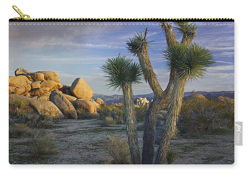 00176988 Zip Pouch featuring the photograph Joshua Tree And Boulders Joshua Tree by Tim Fitzharris