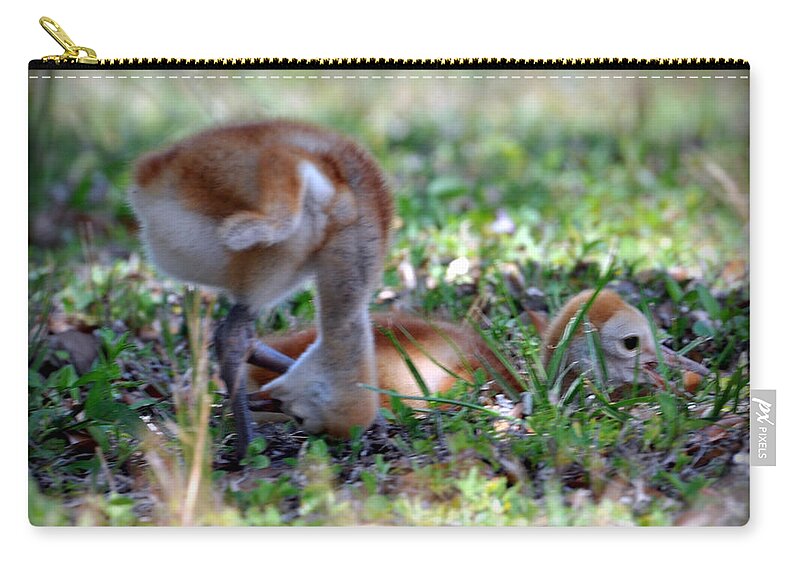 Wildlife Zip Pouch featuring the painting Just checking by AnnaJo Vahle