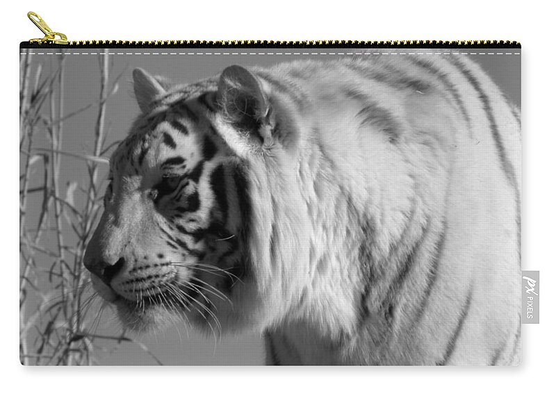  Carry-all Pouch featuring the photograph Killer look by Kim Galluzzo Wozniak