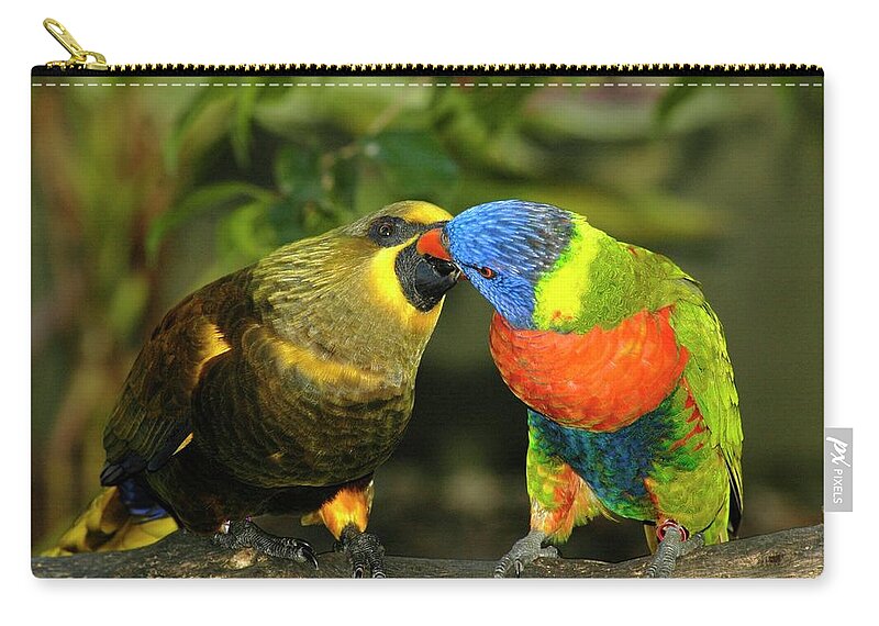 Lorikeet Zip Pouch featuring the photograph Kissing Birds by Carolyn Marshall