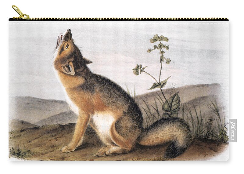 1846 Zip Pouch featuring the photograph Kit Fox (vulpes Velox) by Granger