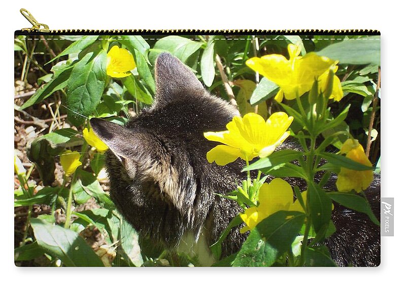 Kitty Zip Pouch featuring the photograph Kitty In The Primrose by Kim Galluzzo