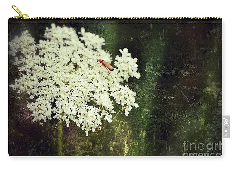 Queen Annes Lace Zip Pouch featuring the photograph Lacy Anne by Traci Cottingham