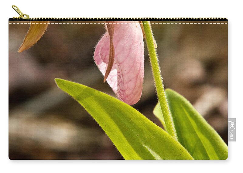 Pink Zip Pouch featuring the photograph Ladys Slipper 6 by Douglas Barnett