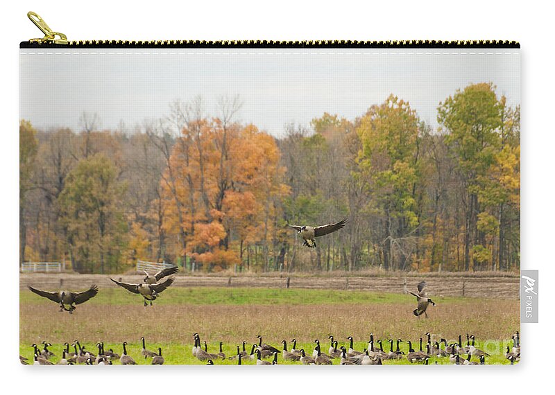 Geese Zip Pouch featuring the photograph Landing by Cheryl Baxter