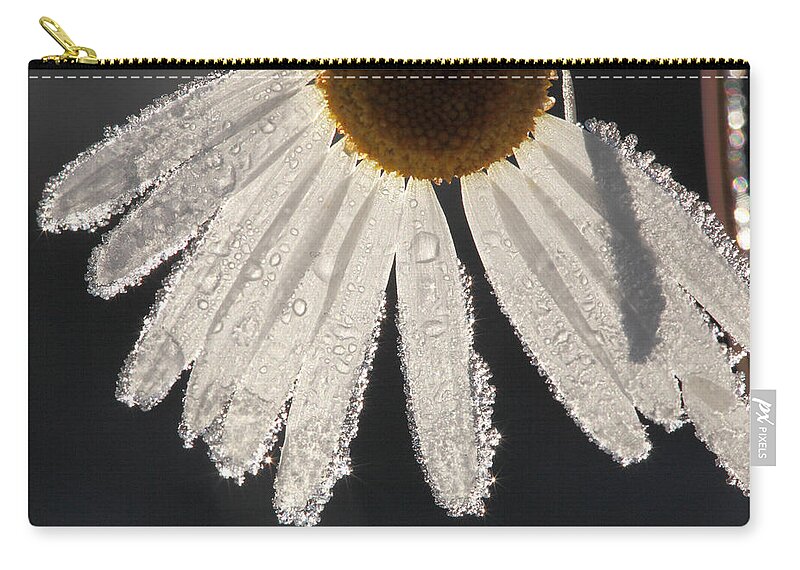 White Zip Pouch featuring the photograph Late blooming marguerite by Ulrich Kunst And Bettina Scheidulin