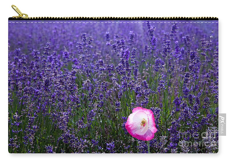  Abundance Carry-all Pouch featuring the photograph Lavender field with poppy by Simon Bratt