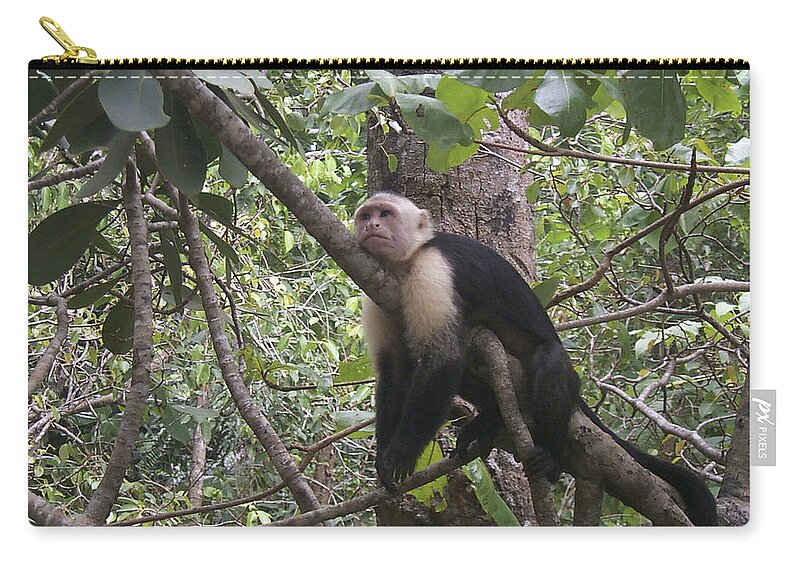 Costa Rica Zip Pouch featuring the photograph Lazy Day by David Gleeson