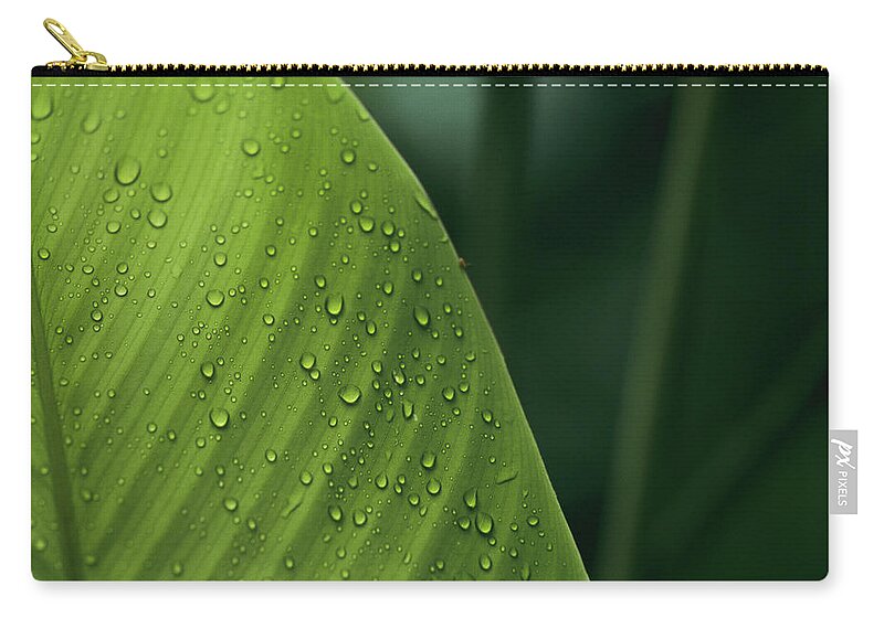 Mp Zip Pouch featuring the photograph Leaf With Water Drops, Barro Colorado by Christian Ziegler