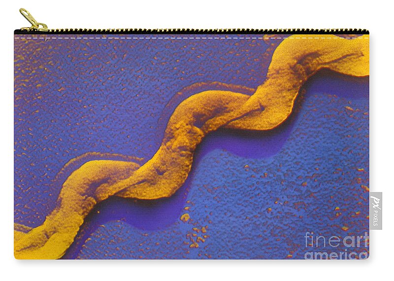 Scanning Zip Pouch featuring the photograph Leptospira by Omikron