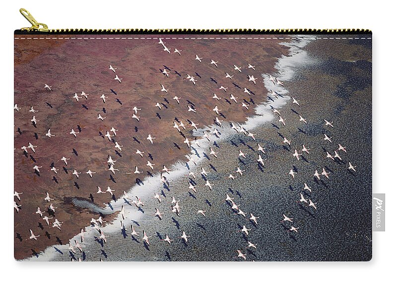 00172146 Zip Pouch featuring the photograph Lesser Flamingo Group Flock Flying by Tim Fitzharris