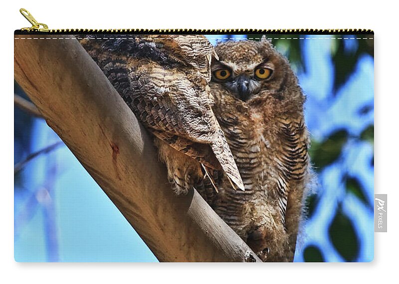 Owl Zip Pouch featuring the photograph Lifes a Hoot by Beth Sargent