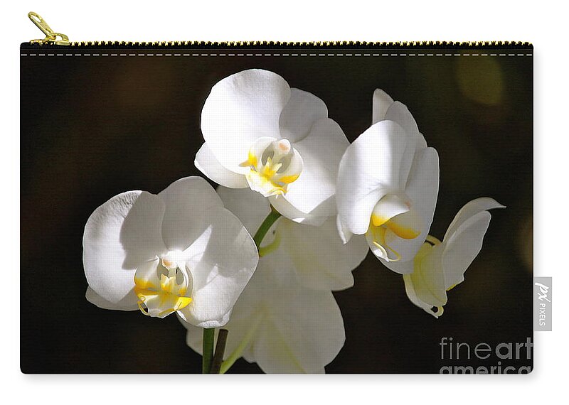 Orchids Zip Pouch featuring the photograph Light on White by Michael Cinnamond