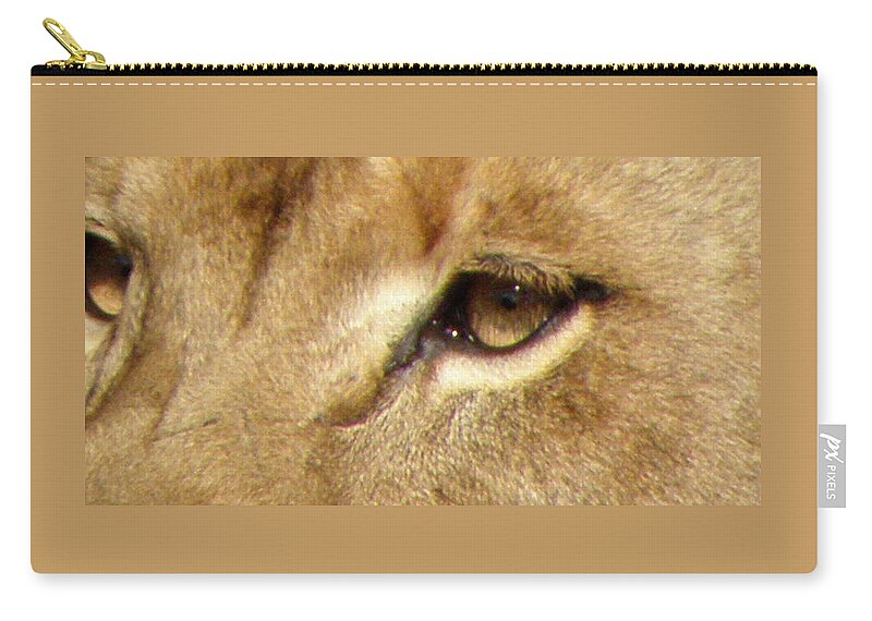 Lion Zip Pouch featuring the photograph Lioness Eyes by Kim Galluzzo