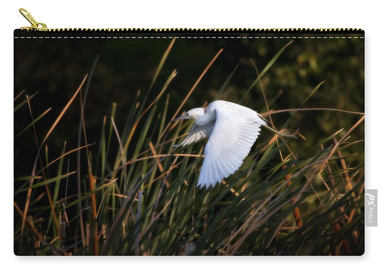 Little Blue Heron Zip Pouch featuring the photograph Little Blue Heron Before The Change To Blue by Steven Sparks
