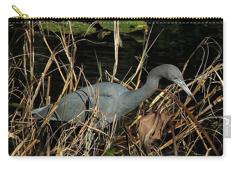 Nature Zip Pouch featuring the photograph Little Blue Heron by Peggy Urban
