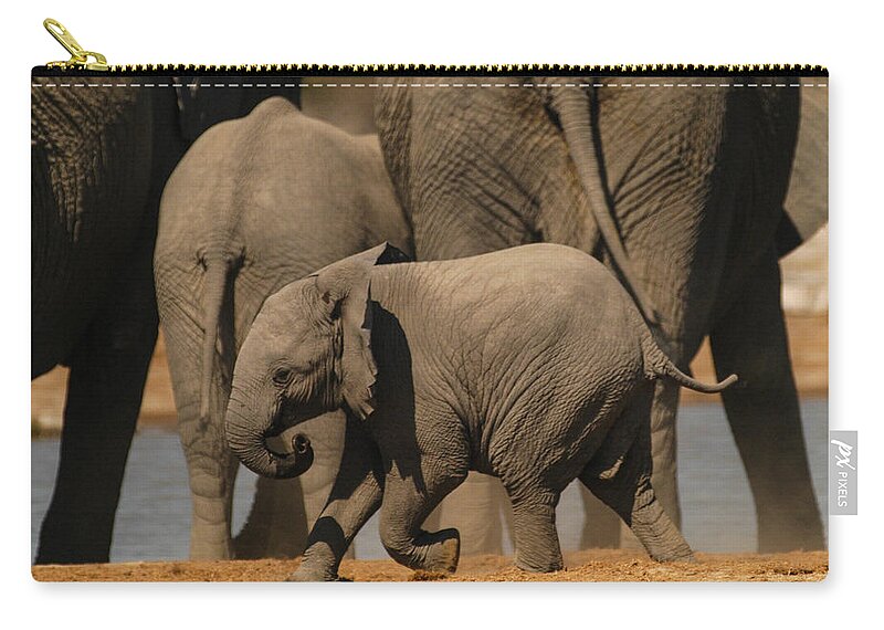 Action Zip Pouch featuring the photograph Little boy by Alistair Lyne