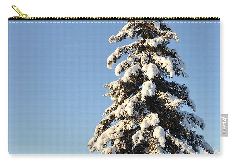 Alaska Zip Pouch featuring the photograph Lone Winter Spruce by Gary Whitton
