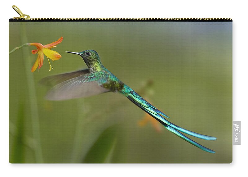 00486961 Zip Pouch featuring the photograph Long Tailed Sylph Feeding On Flower by Tim Fitzharris