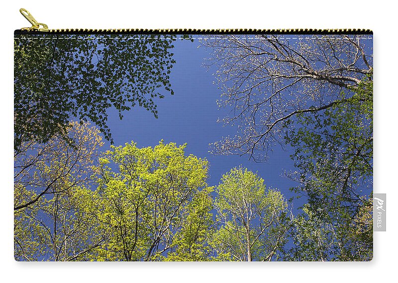 Tree Zip Pouch featuring the photograph Looking Up In Spring by Daniel Reed