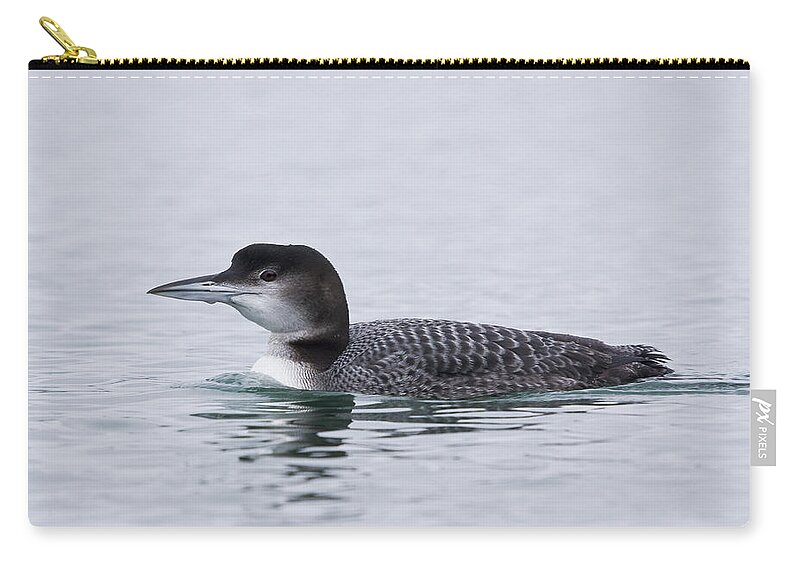 Loon Zip Pouch featuring the photograph Loon by Bob Decker