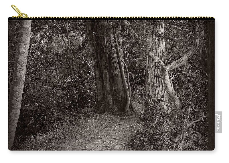 Forest Zip Pouch featuring the photograph Lost in the Forest by Sharon Mau