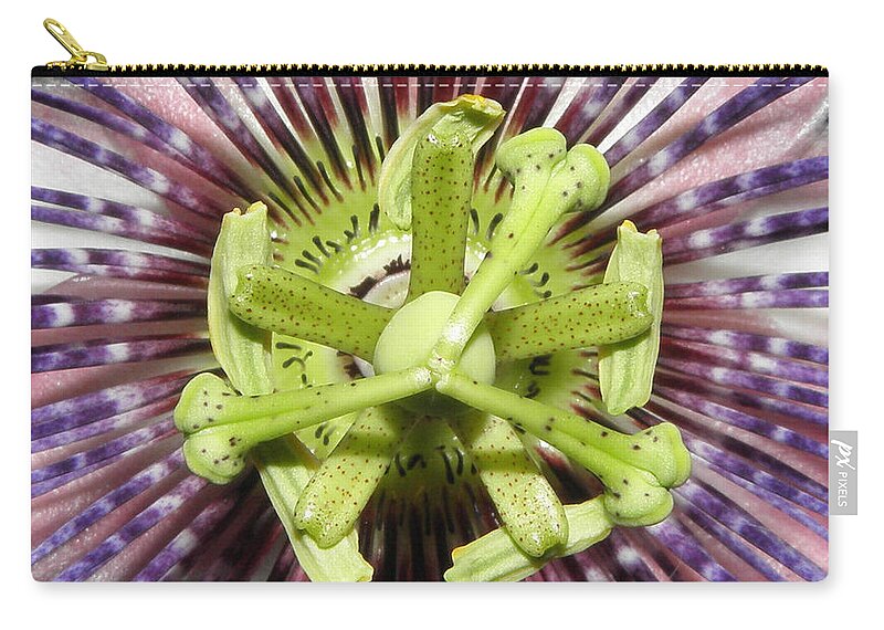 Purple Passion Flower Zip Pouch featuring the photograph Macro Explosion by Kim Galluzzo
