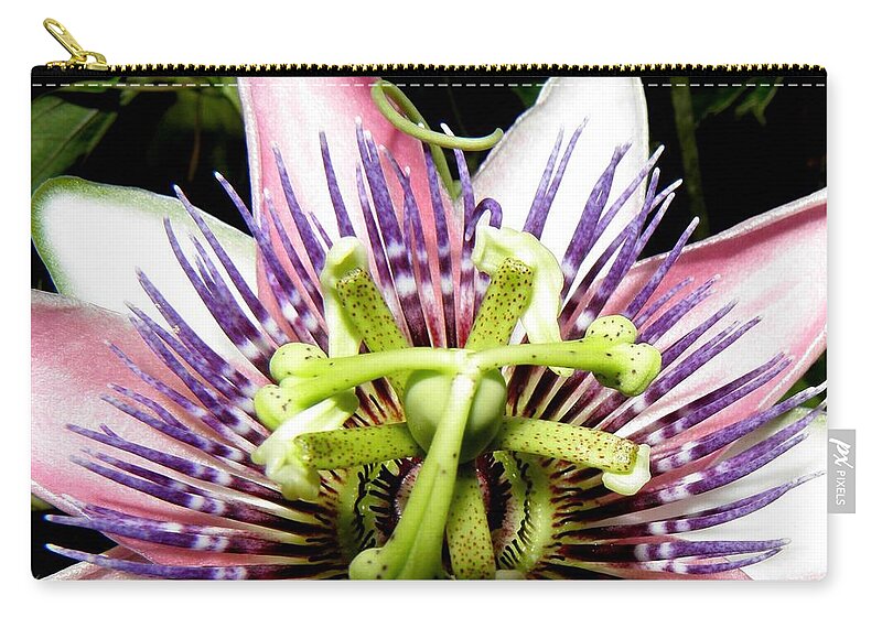 Passion Flower Carry-all Pouch featuring the photograph Macro Passion by Kim Galluzzo Wozniak