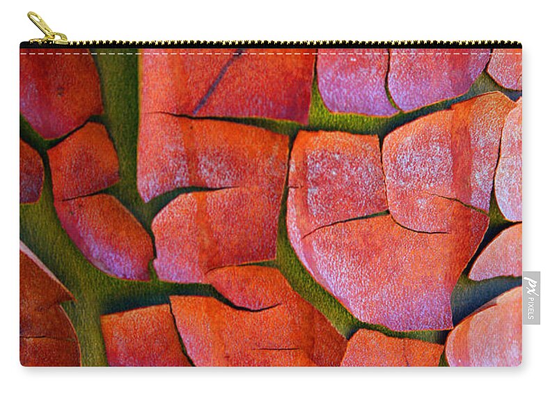 Pacific Madrona Tree Bark Zip Pouch featuring the photograph Madrone by Marie Jamieson