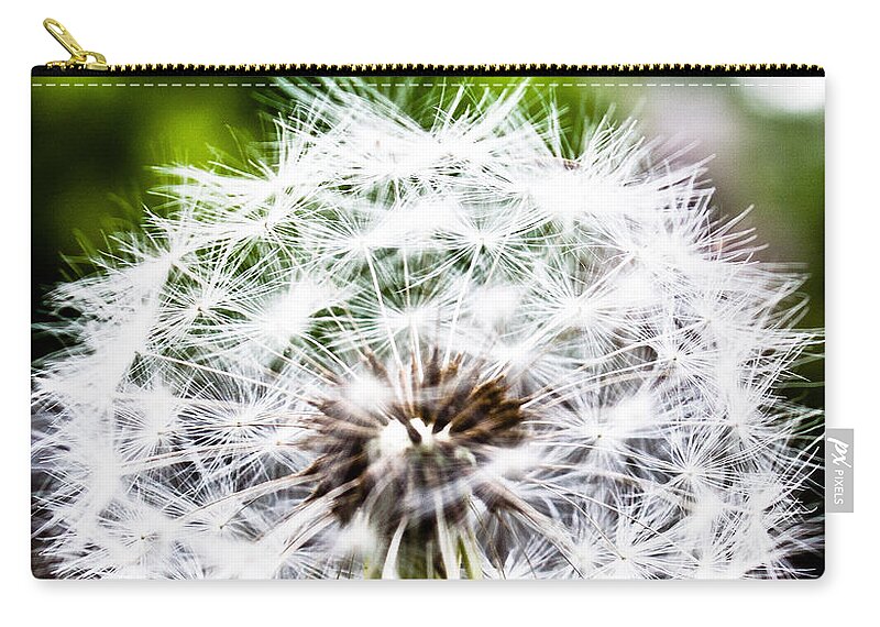 Flower Zip Pouch featuring the photograph Make A Wish by Elizabeth Richardson