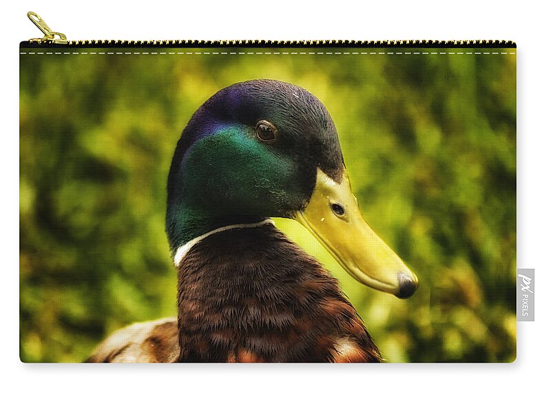 Duck Zip Pouch featuring the photograph Male Mallard Duck by Linda Tiepelman