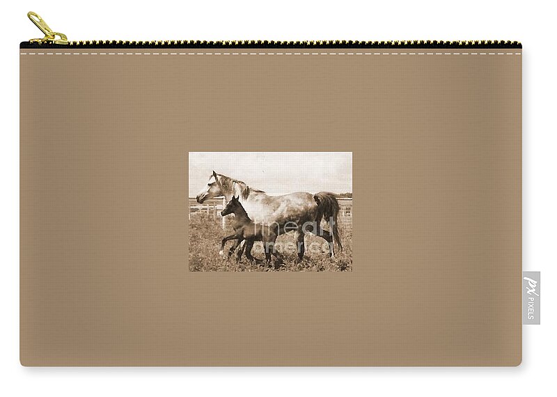 Mare Carry-all Pouch featuring the photograph Mare and Foal by Vonda Lawson-Rosa