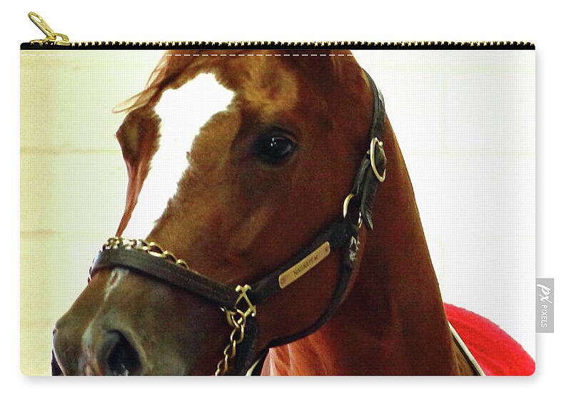 Thoroughbred Race Horse Carry-all Pouch featuring the photograph 'Marigo in Red' by PJQandFriends Photography
