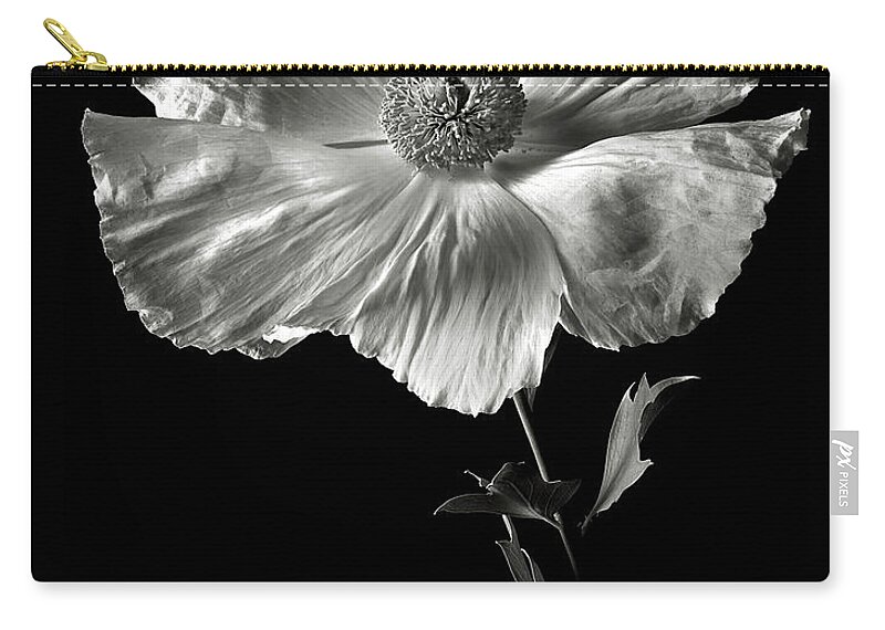 Flower Zip Pouch featuring the photograph Matilija Poppy in Black and White by Endre Balogh