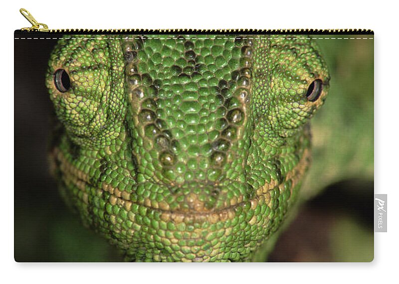 Npl Zip Pouch featuring the photograph Mediterranean Chameleon Chamaeleo by Hans Christoph Kappel