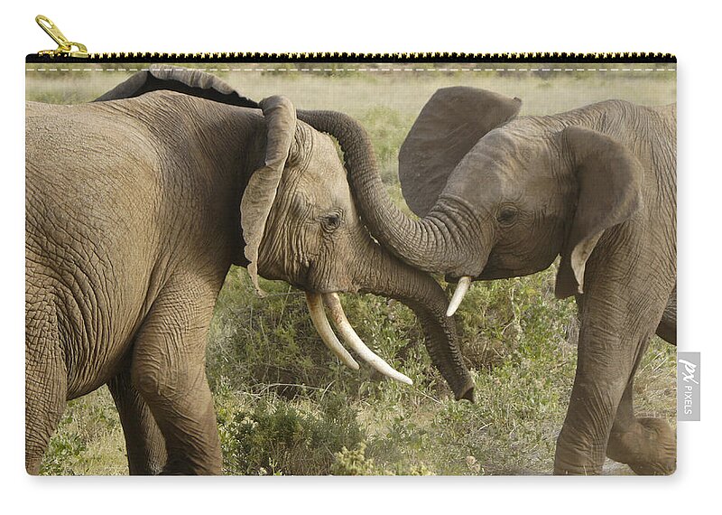 Africa Zip Pouch featuring the photograph Meet-Up by Michele Burgess