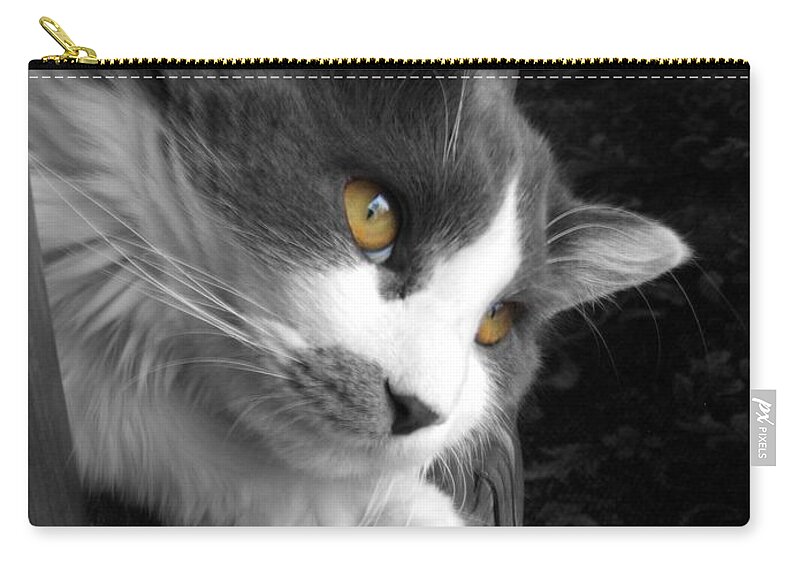 Cat Photograph Zip Pouch featuring the photograph Misty by Ann Bridges