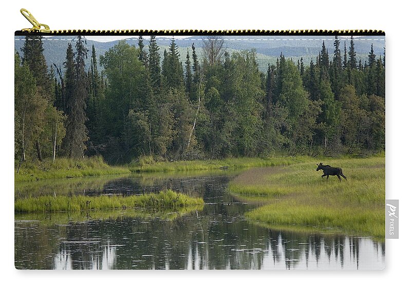 Mp Zip Pouch featuring the photograph Moose Alces Americanus Juvenile Bull by Michael Quinton
