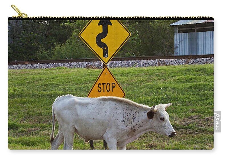 Cattle Zip Pouch featuring the photograph Mooving along by Toni Hopper