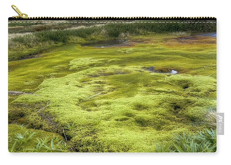 00441036 Zip Pouch featuring the photograph Moss Bed At Cascade Saddle by Colin Monteath