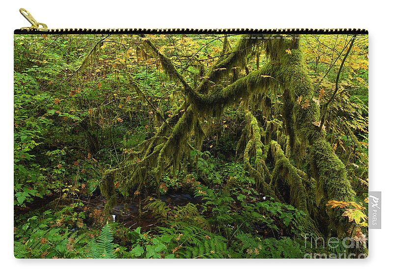 Silver Falls State Park Zip Pouch featuring the photograph Moss In The Rainforest by Adam Jewell