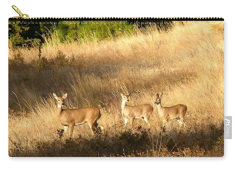 Deer Zip Pouch featuring the photograph Mother And Twins by Will Borden