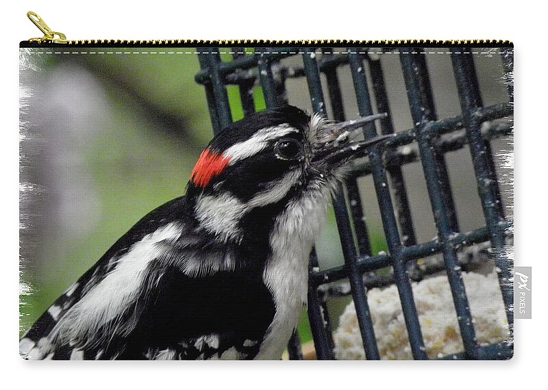 Downy Zip Pouch featuring the photograph Mr Downy Woodpecker by Kim Galluzzo Wozniak